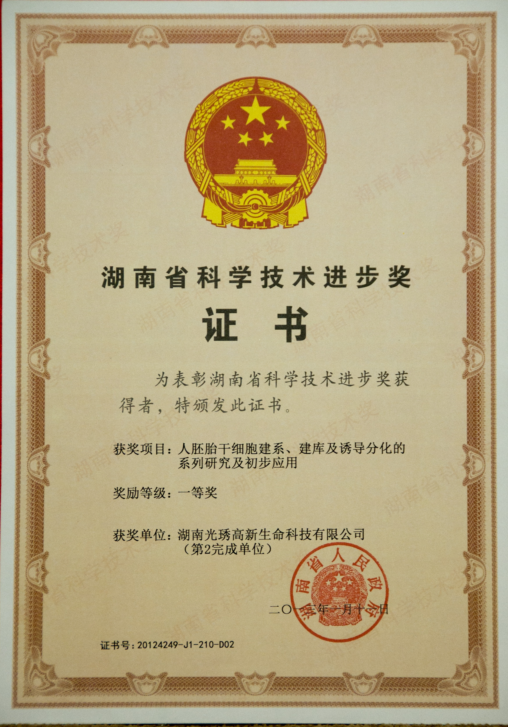 湖南省科学技术进步奖一等奖