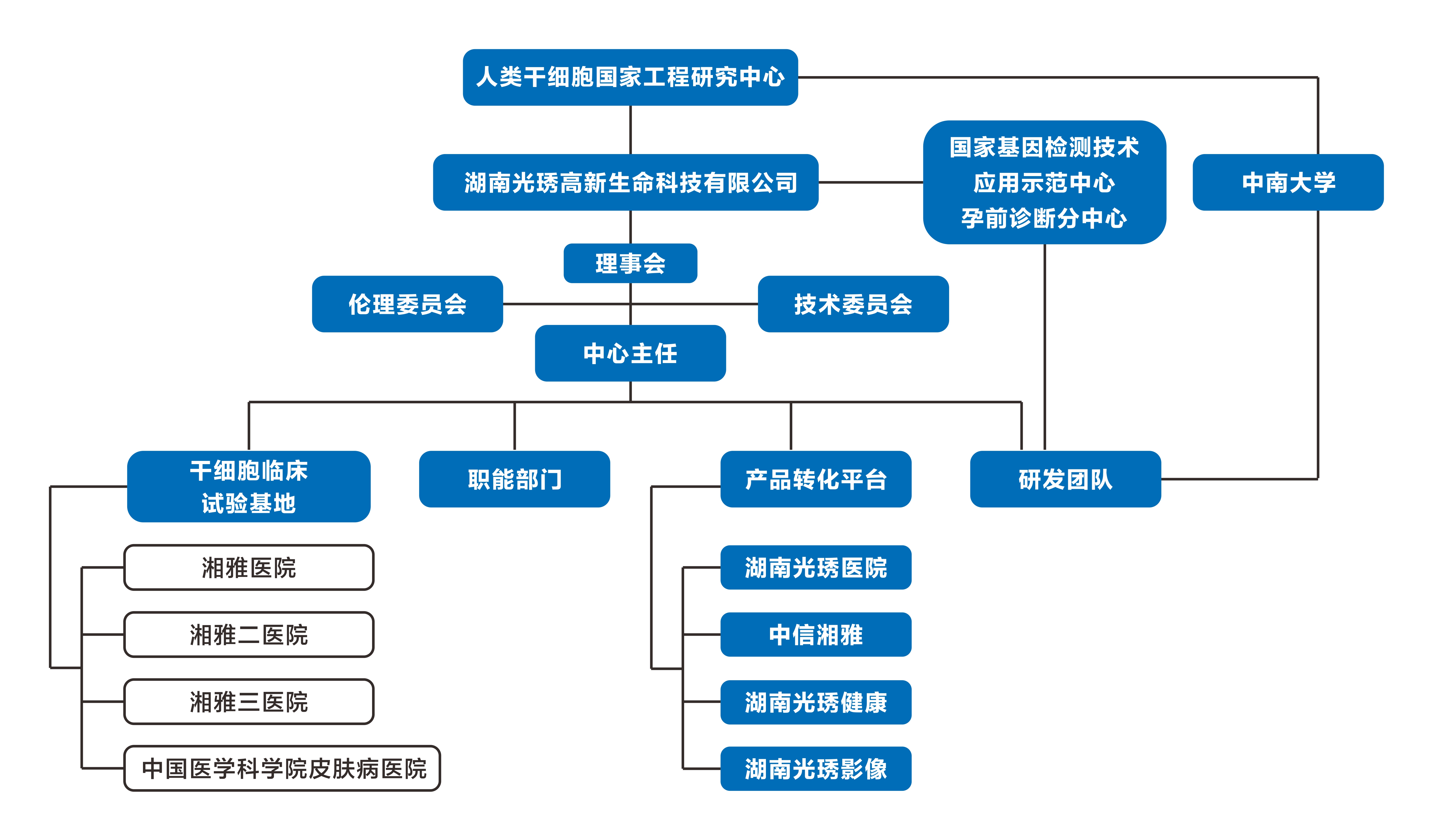 中心构架.jpg